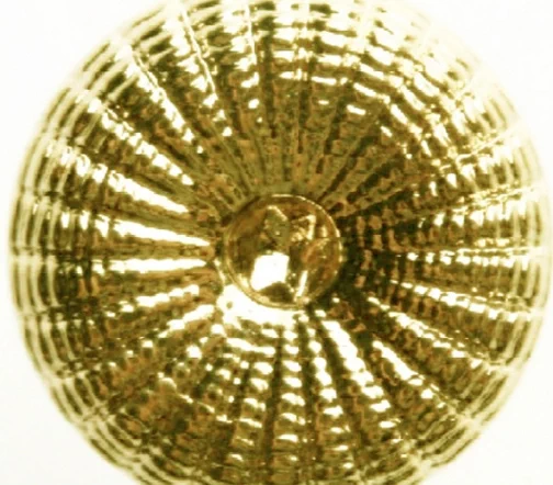 Пуговица Hemline "Metal", металл, на ножке, 19 мм, 5 шт., цвет золотой