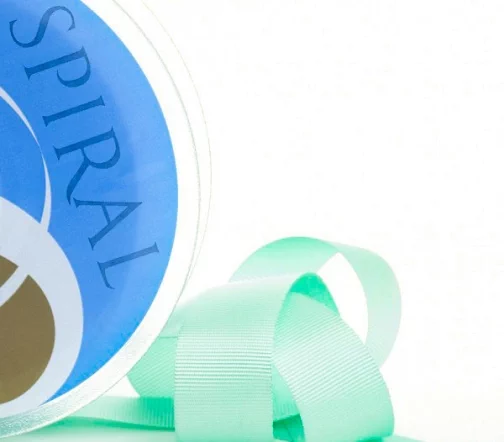 Лента репсовая Safisa 25 мм, цвет 53 ментоловый